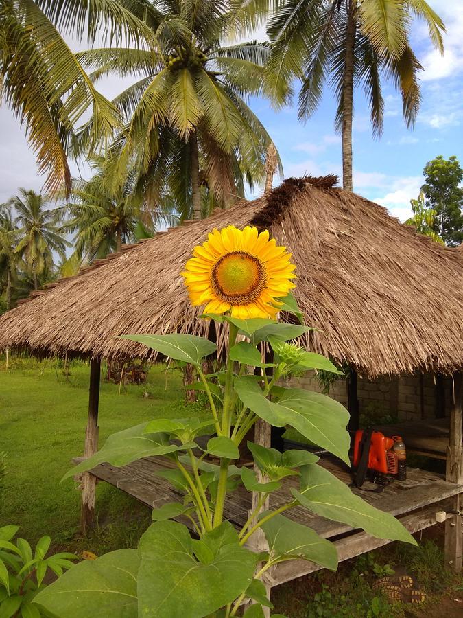 Dedy'S Homestay Kuta  Экстерьер фото