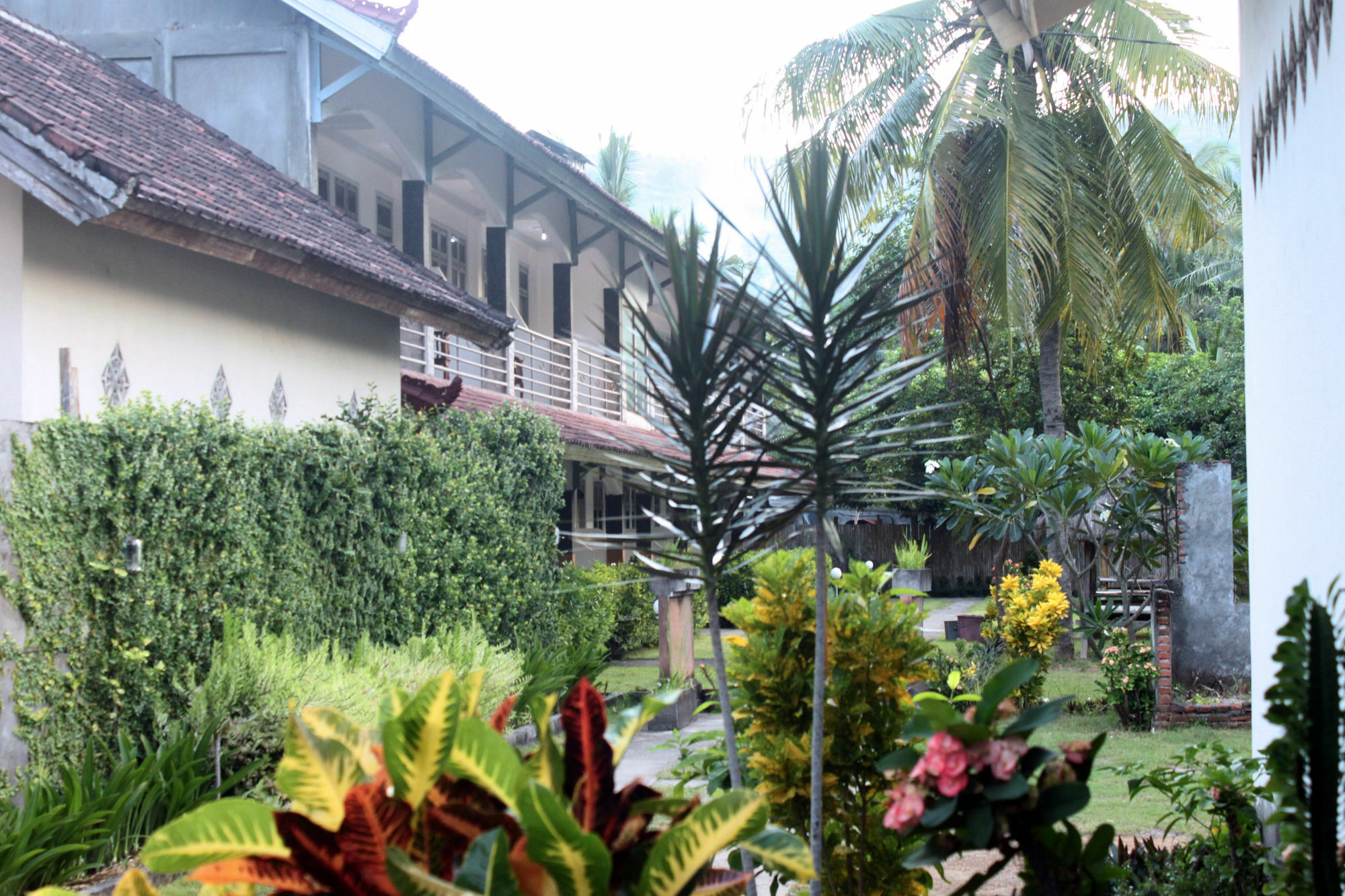 Dedy'S Homestay Kuta  Экстерьер фото